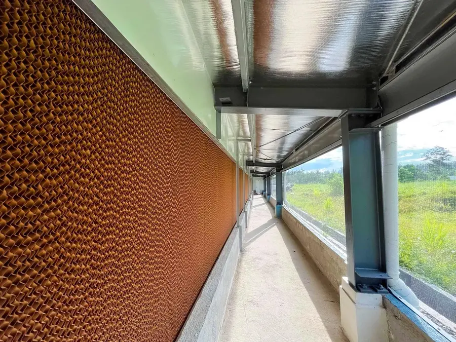 Pantukan tunnel-ventilated broiler farm interior